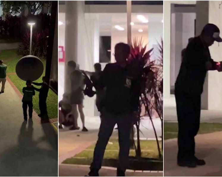 'Crows are innocent': Hecklers disrupt NParks bird trapping in Toa Payoh