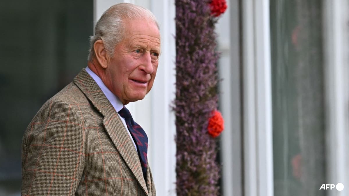Princess Diana's brother makes new explosive claims against King Charles in upcoming book - CNA Lifestyle