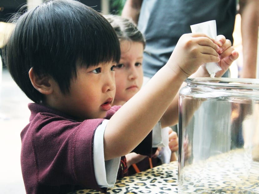 Singapore Zoo to launch campaign on rhino conservation