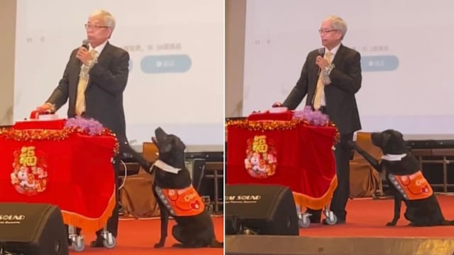 台湾医院院长台上致词 “狗医生Oba”频伸爪互动惹笑全场