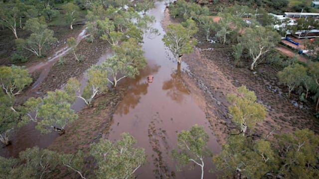 澳洲女子被洪水冲走 紧抱树12小时求生终获救