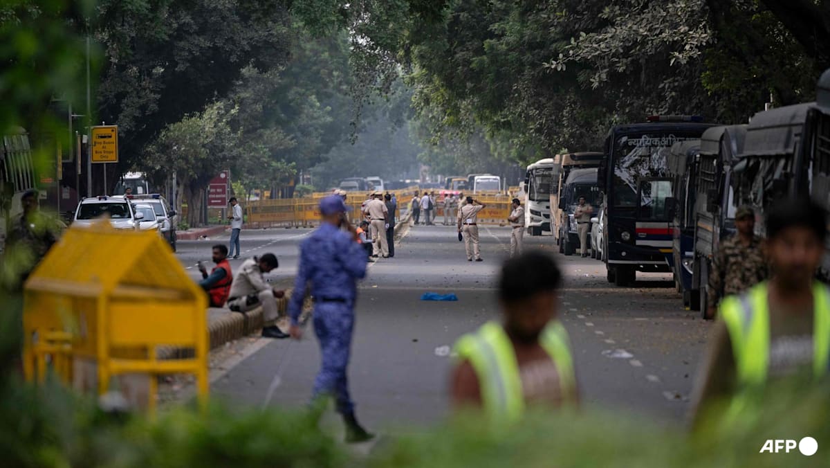 Indian capital braces for second day of protests against poll chief