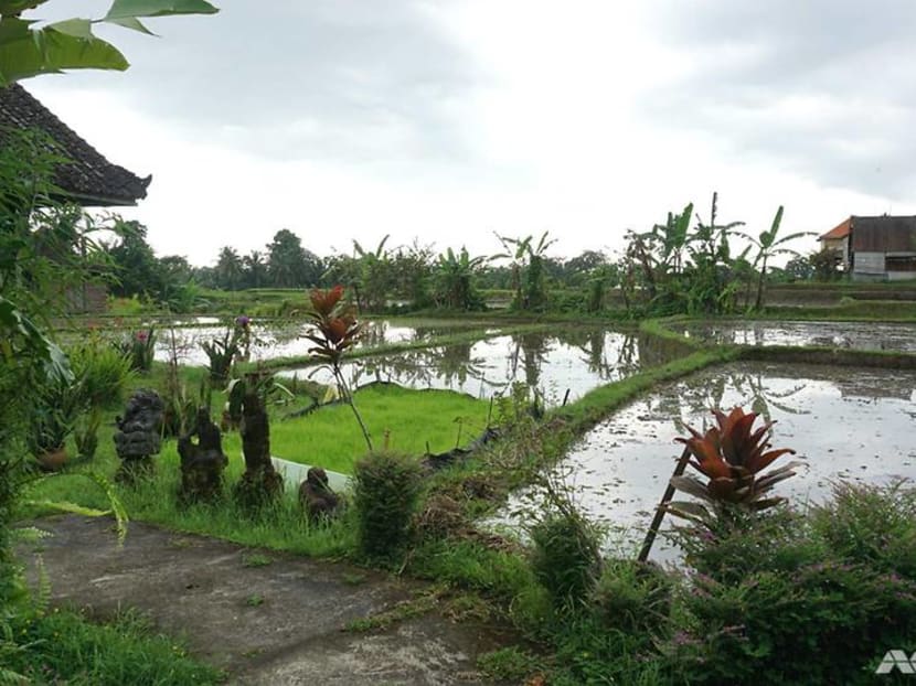 Shhh! No talking at this resort