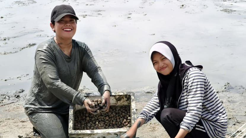 Gambar Pilihan Hari Ini