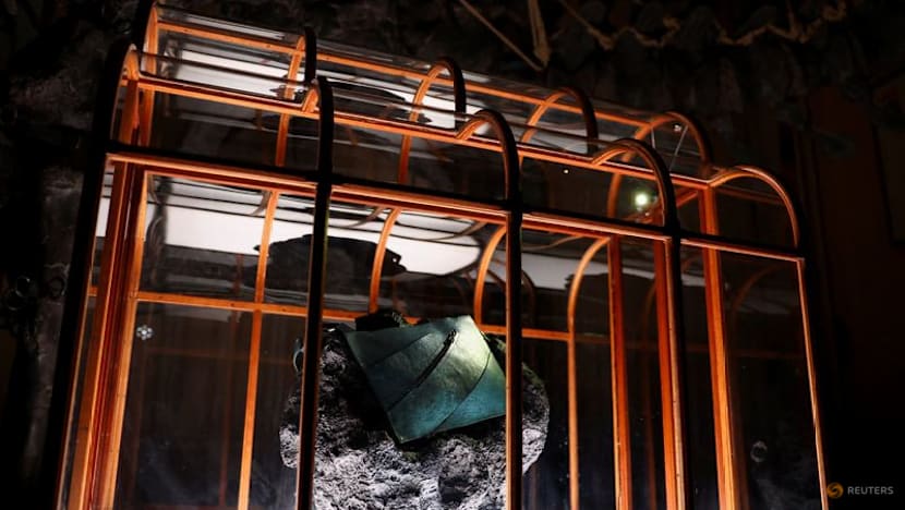 Dinosaur collagen used to create one-of-a-kind handbag