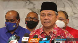 Related article image