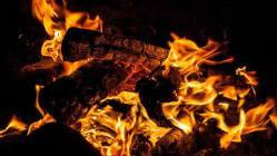 Related article image