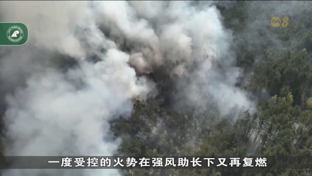联合国气象机构：厄尔尼诺现象最早或5月到7月间形成