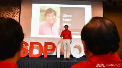 Related article image