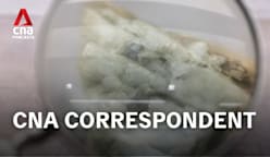 CNA Correspondent - How the US handed control of rare earth minerals to China 