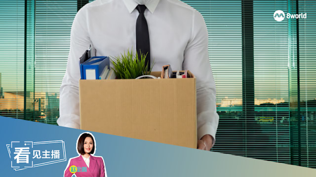 【看见主播 | 赵全胤】上班族真实看法：我有裁员焦虑，但提升有用