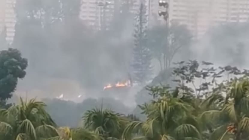 Grass fire the size of a football field breaks out in Jurong