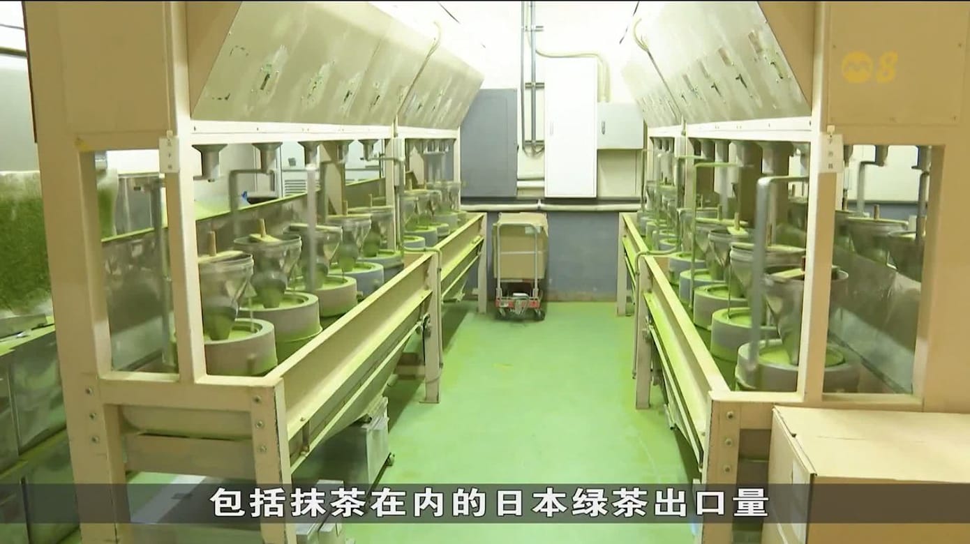抹茶热潮带动日本茶业复苏 传统茶类供应却承压