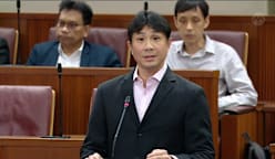 Jamus Lim on motions for grants to support IMF trusts