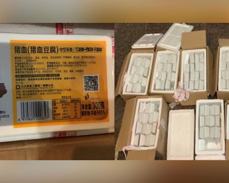 Woman fined S$8,000 for possessing, selling illegally imported pig blood curd