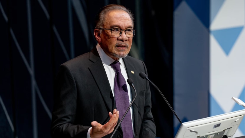 Kenaikan tambang agensi pelancong SG bukti subsidi diesel bersasar wajar diteruskan, kata PM Anwar