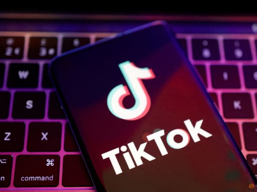TikTok app logo is seen in this illustration taken, on Aug 22, 2022.