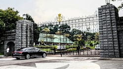 Related article image
