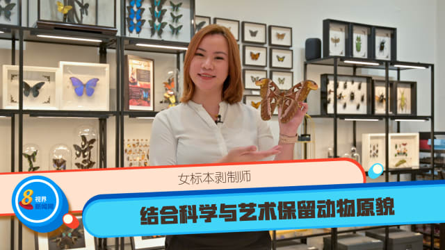 每周精选：女标本剥制师 结合科学与艺术保留动物原貌