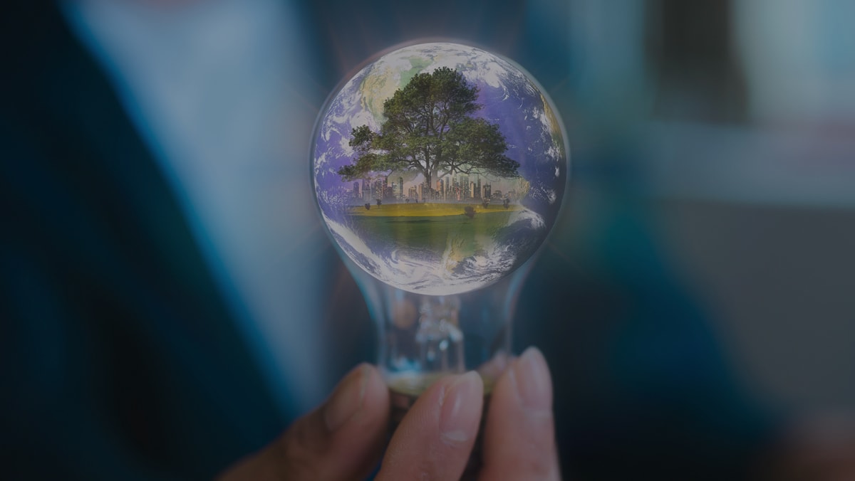 Cooler Cities, Cleaner Futures: Innovations for Sustainable Urban Living