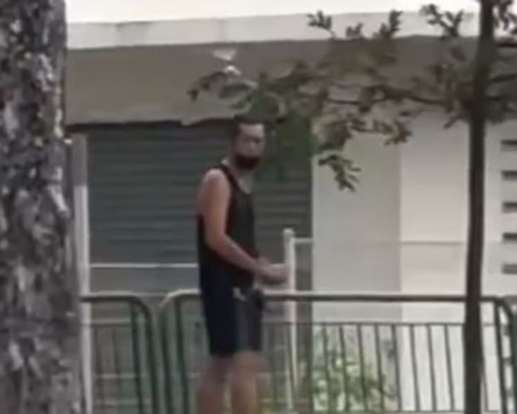Police look into report of man allegedly throwing stones at passing cars in Simei; incident caught on video