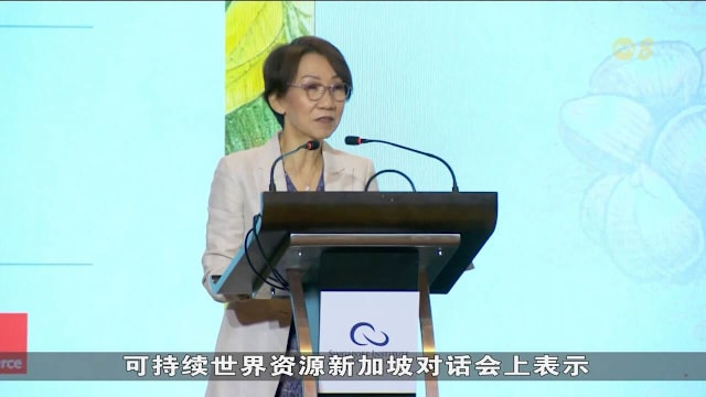 中东局势加剧供应链压力 傅海燕吁推动可持续发展增强韧性