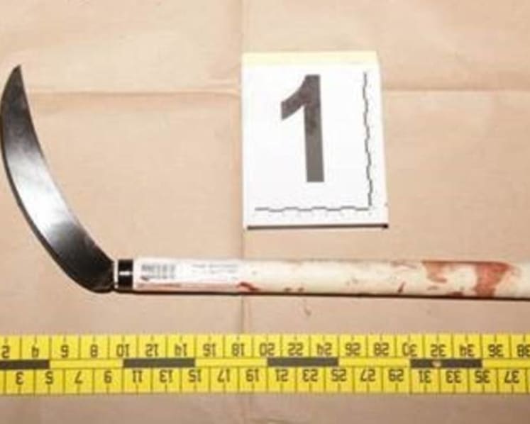 Man charged with using sickle to slash enforcement officer attached to NEA