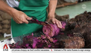 Philippine root crop ube faces growing challenges despite global popularity