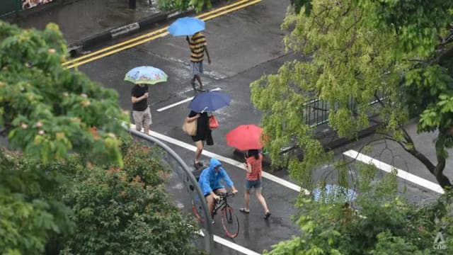 大年初一雨神降临 纽顿气温跌至摄氏21.8度 