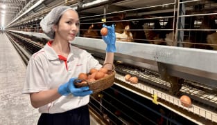 Talking Point 2025/2026 - Are All Eggs Equal?