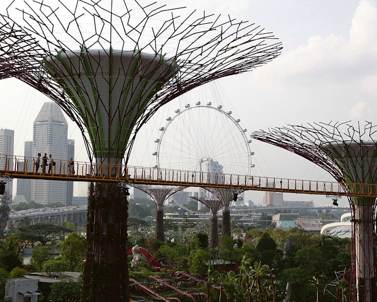 Scrapping of underground road network to give more urban planning options: Experts