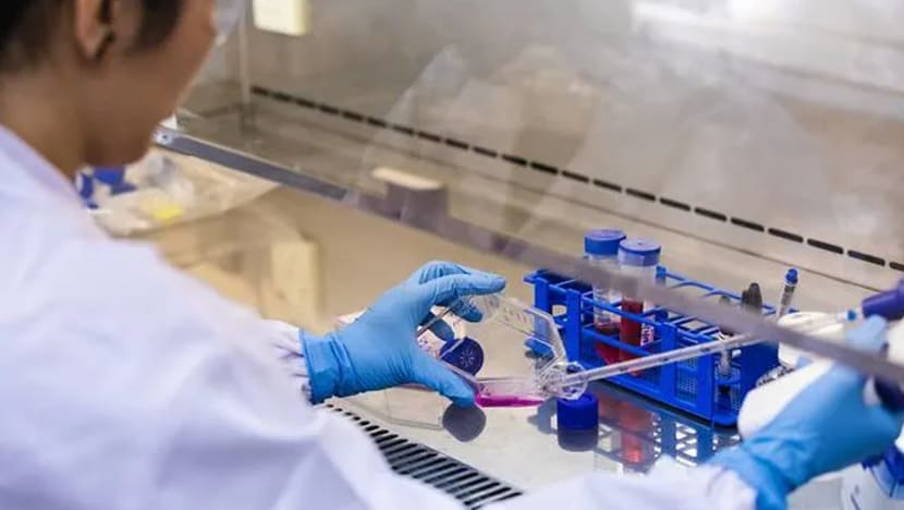 Jawatankuasa Fatwa gariskan 3 syarat tentukan daging kultur halal