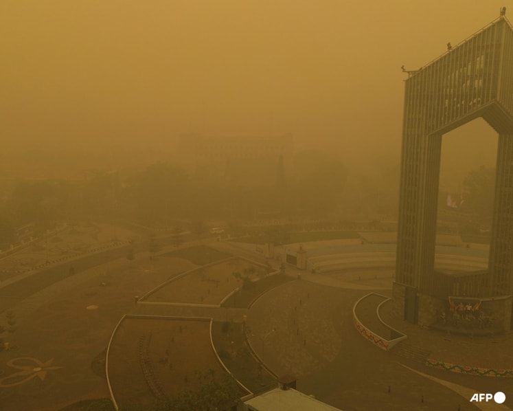 Four killed fighting wildfires in Indonesian national park