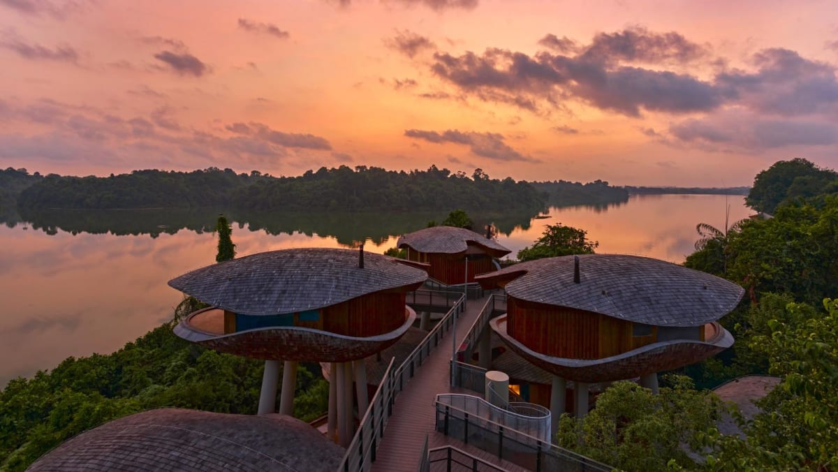 Mandai Rainforest Resort by Banyan Tree to open in April 2025
