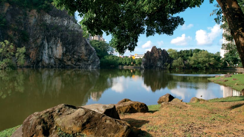 Teenager charged with fishing illegally at Bukit Batok Town Park without mask or social distancing