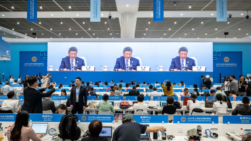 Xi urges SCO members to pursue joint development, offers billions in loans and grants Xi urges SCO members to pursue joint development, offers billions in loans and grants