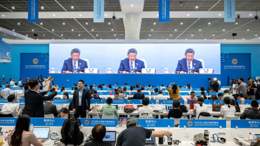 Xi urges SCO members to pursue joint development, offers billions in loans and grants