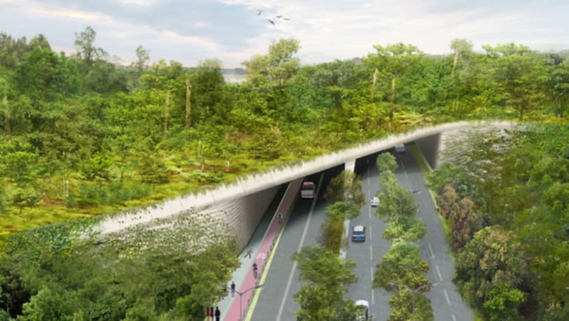 Eco-bridge at Mandai to be ready by 2019