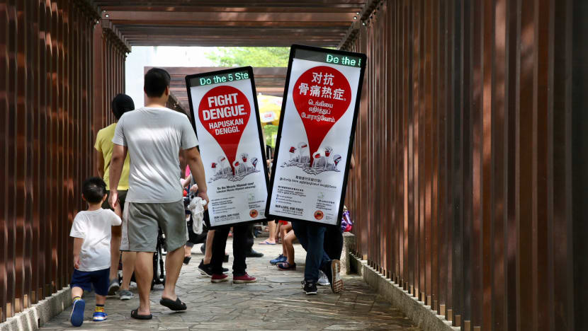 Be on guard against dengue threat, the authorities urge as Aedes mosquito population spikes