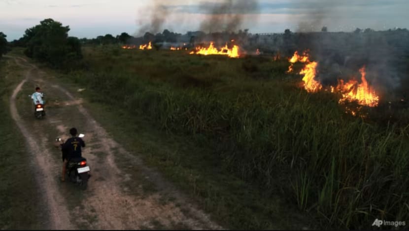 Jumlah tapak kebakaran Sumatra naik 14 kali ganda dalam 10 hari; Malaysia beri amaran jerebu