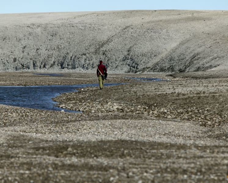 Hornless rhino roamed Canadian High Arctic 23 million years ago