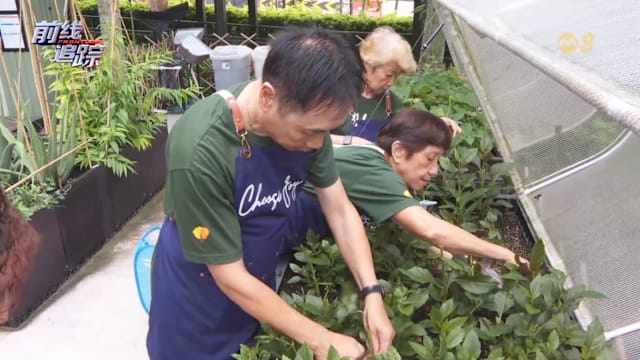 前线追踪 | 预告：义工新世代