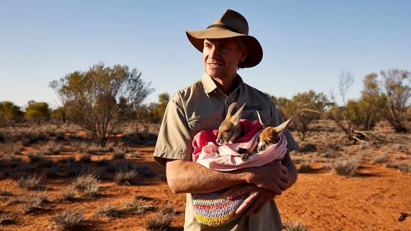 Wildlife encounters, nature tour, wine tasting: Experience Australia in livestream event