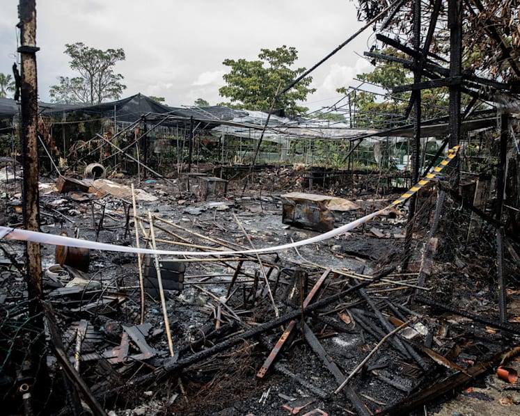 'It's very heartwarming': Terrascapes' owners touched by public generosity after fire destroys part of plant nursery