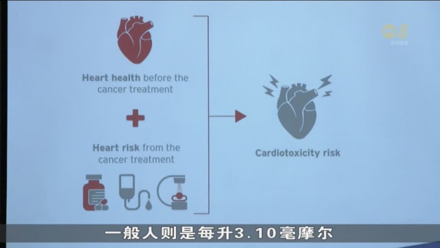 本地研究：胆固醇水平低于一般的癌症病人 患心脏病风险却更高