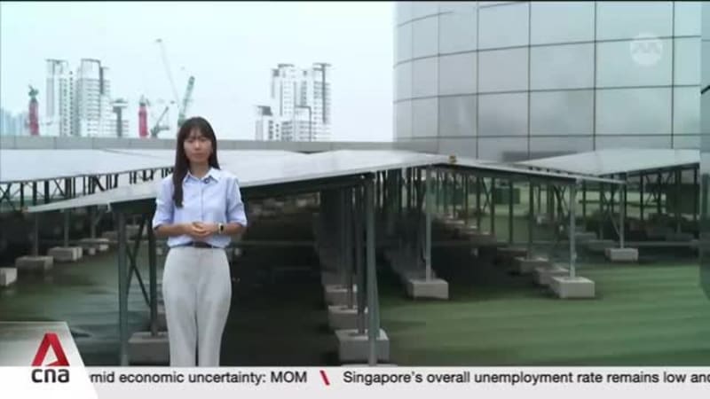 How new regional connections could change Singapore's electricity supply