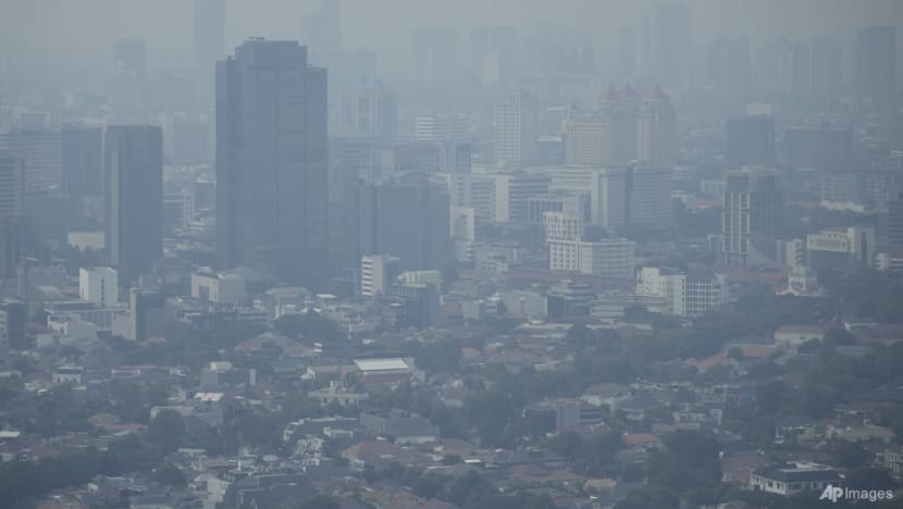 Polusi sebabkan penyakit pernapasan, Indonesia gerak cepat tangani pencemaran udara Jakarta
