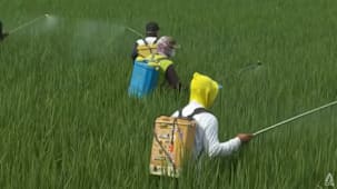 பருவநிலை மாற்றத்தின் சவால்களை எதிர்கொள்ள ஆசியாவில் புதிய கூட்டணி