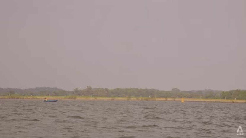 Related article image