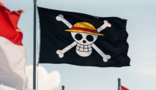 Polemik bendera One Piece, ini tanggapan Presiden Prabowo
